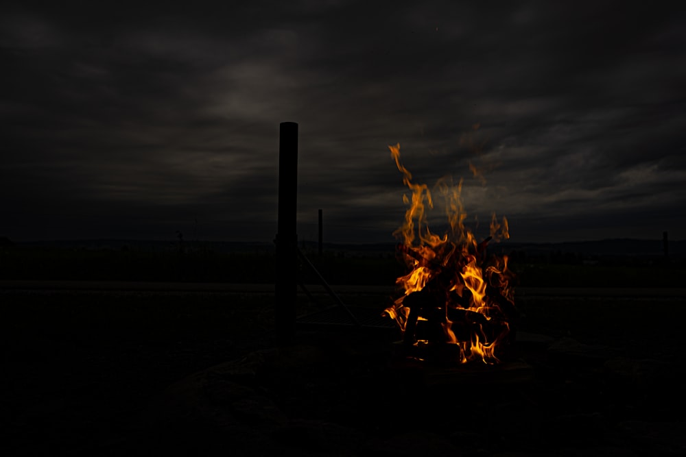 burning woods during night time