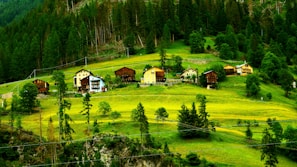 A serene landscape featuring a cluster of charming houses on a lush green hillside. Dense forest creates a backdrop, emphasizing the tranquility and isolation of this rural setting. The houses vary in color, adding a quaint charm to the scenery.