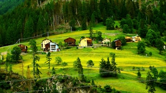 A serene landscape featuring a cluster of charming houses on a lush green hillside. Dense forest creates a backdrop, emphasizing the tranquility and isolation of this rural setting. The houses vary in color, adding a quaint charm to the scenery.