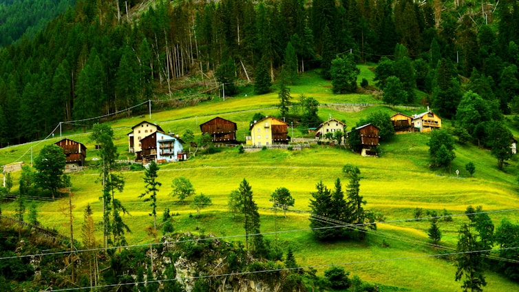A serene landscape featuring tiny houses nestled among trees, showcasing various architectural styles.