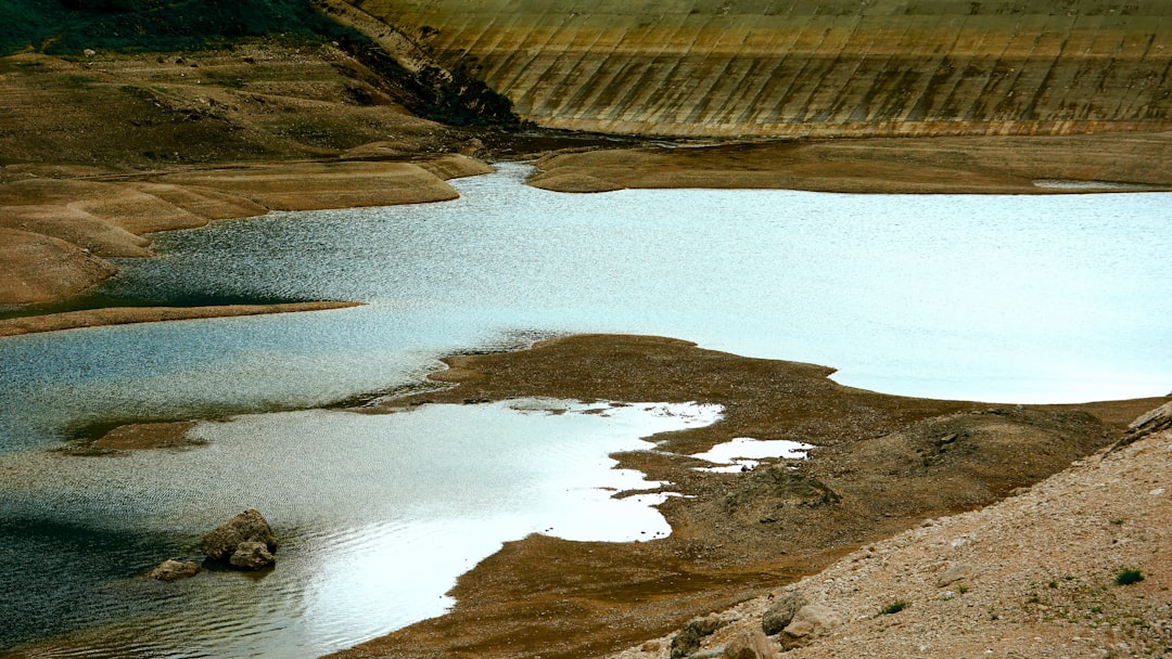 brown and white lake painting