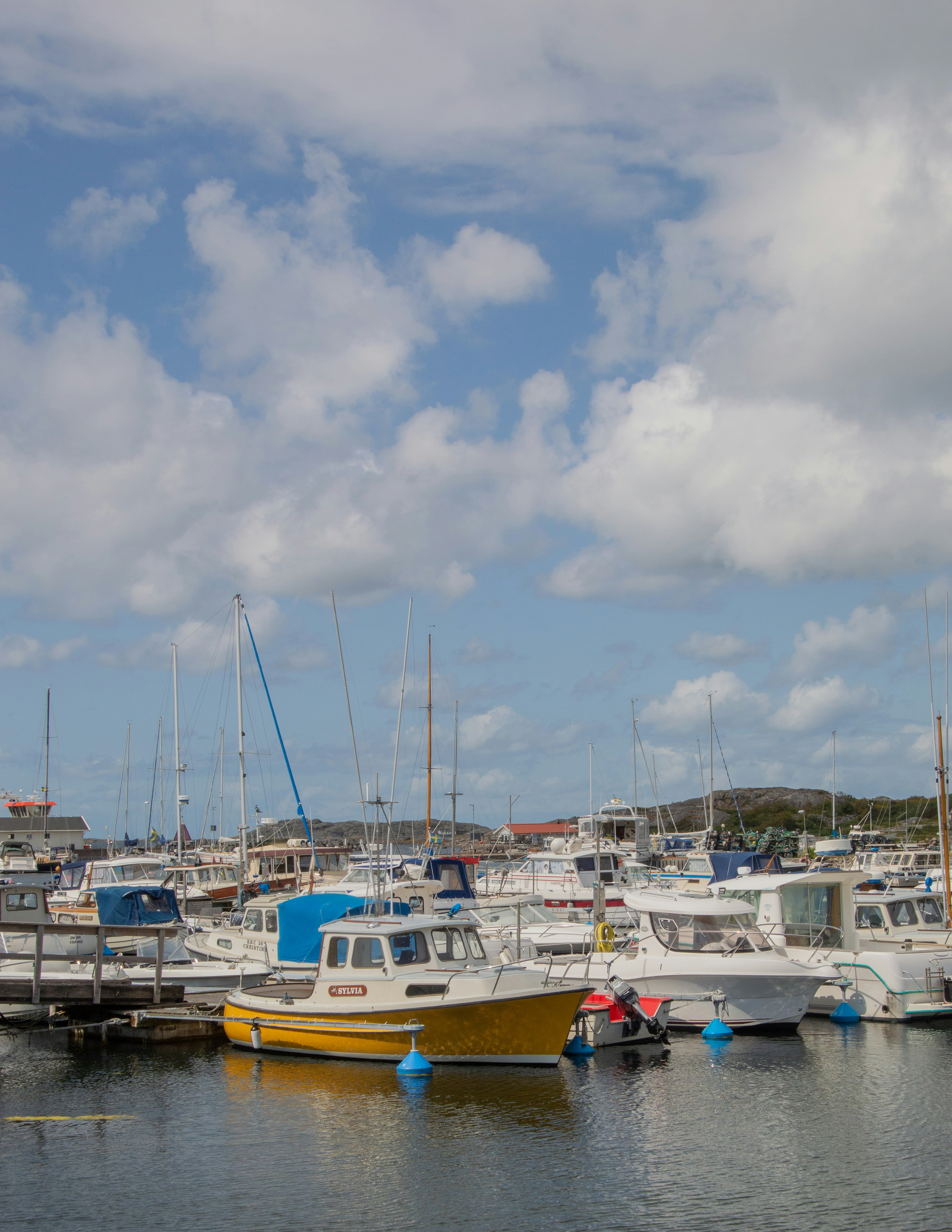 La guía definitiva para encontrar servicios de software empresarial en Puerto de la Cruz