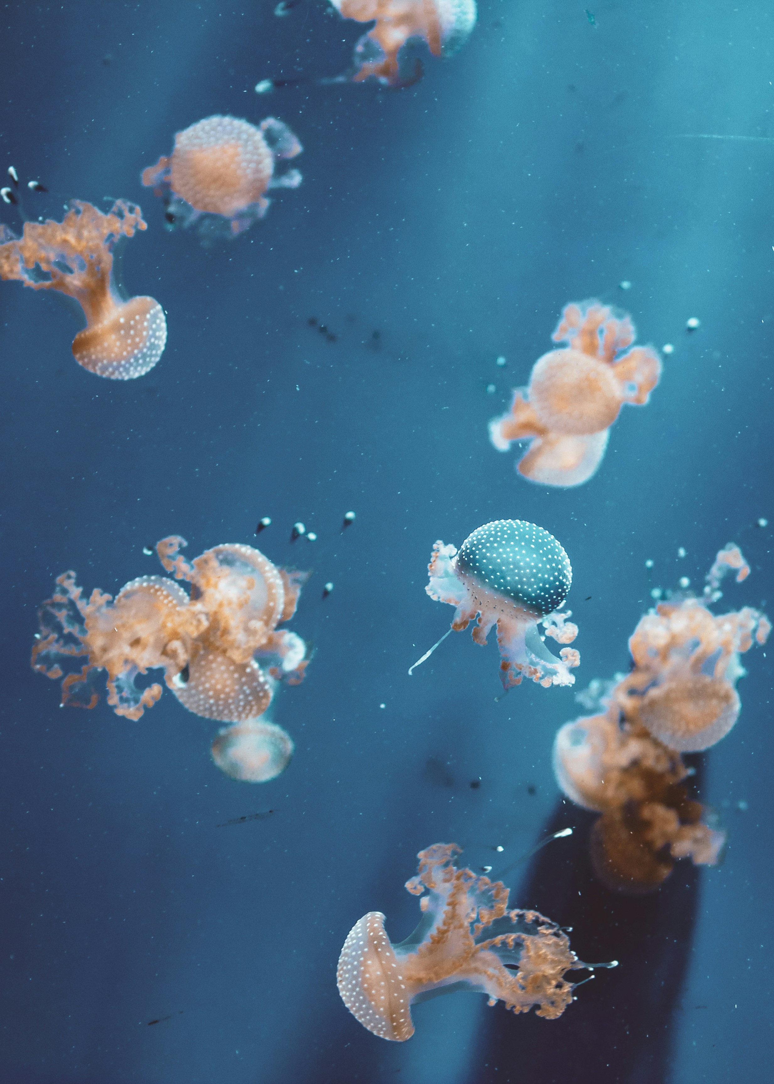 Photo by alessandro_zanini