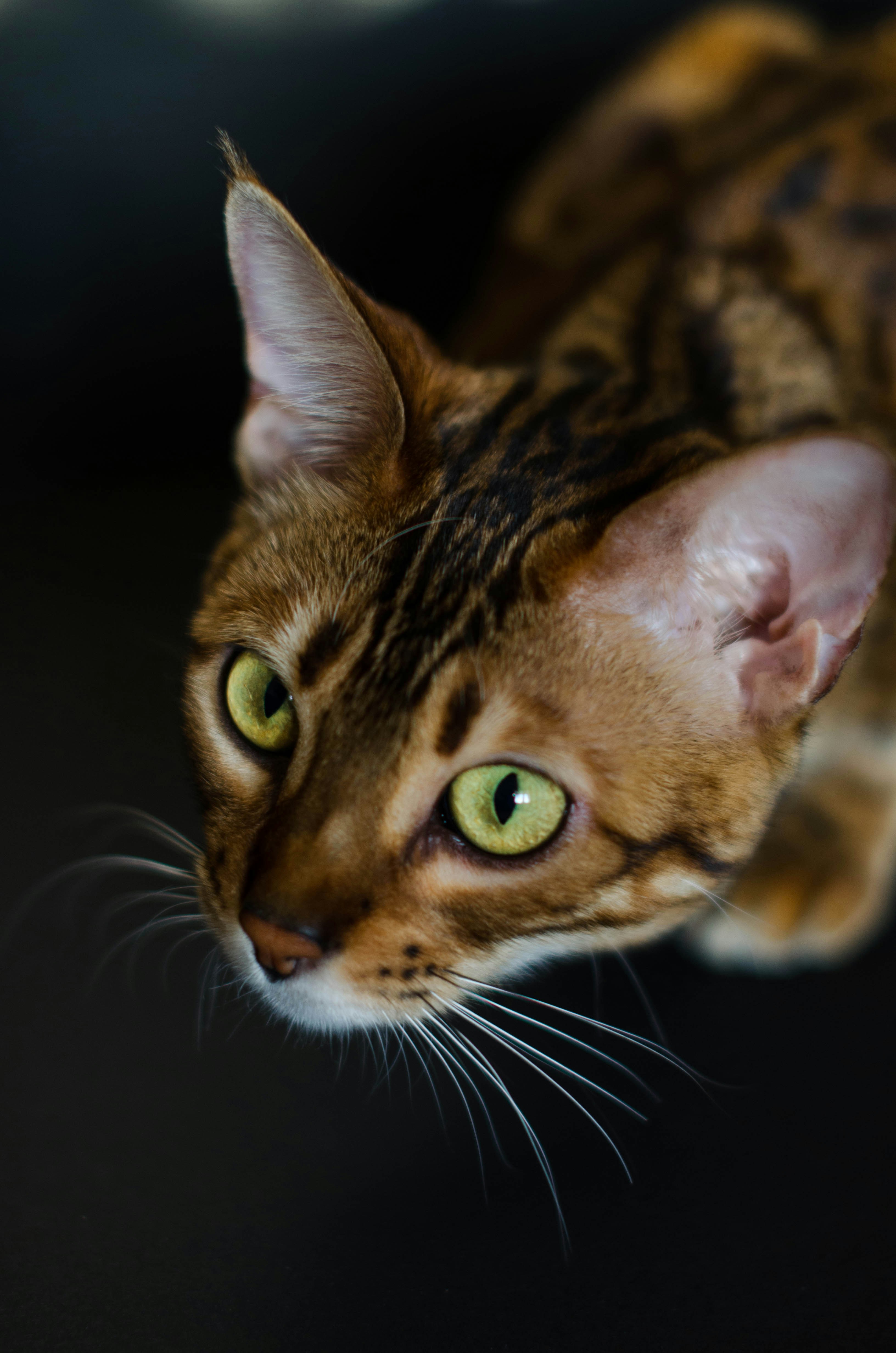 Photo by nika_benedictova