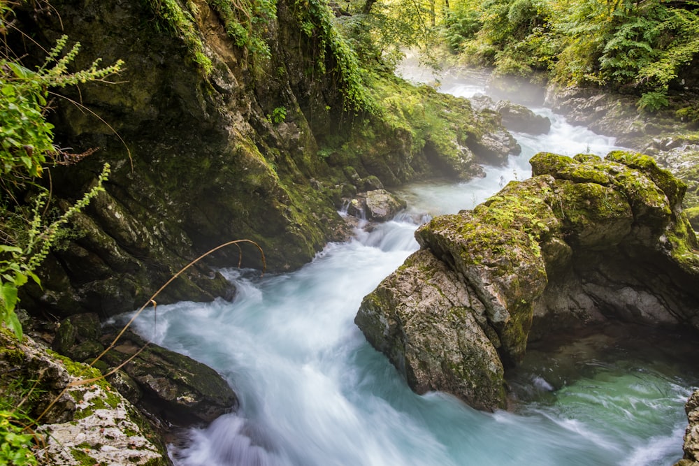 time lapse photography of river between rocks and trees