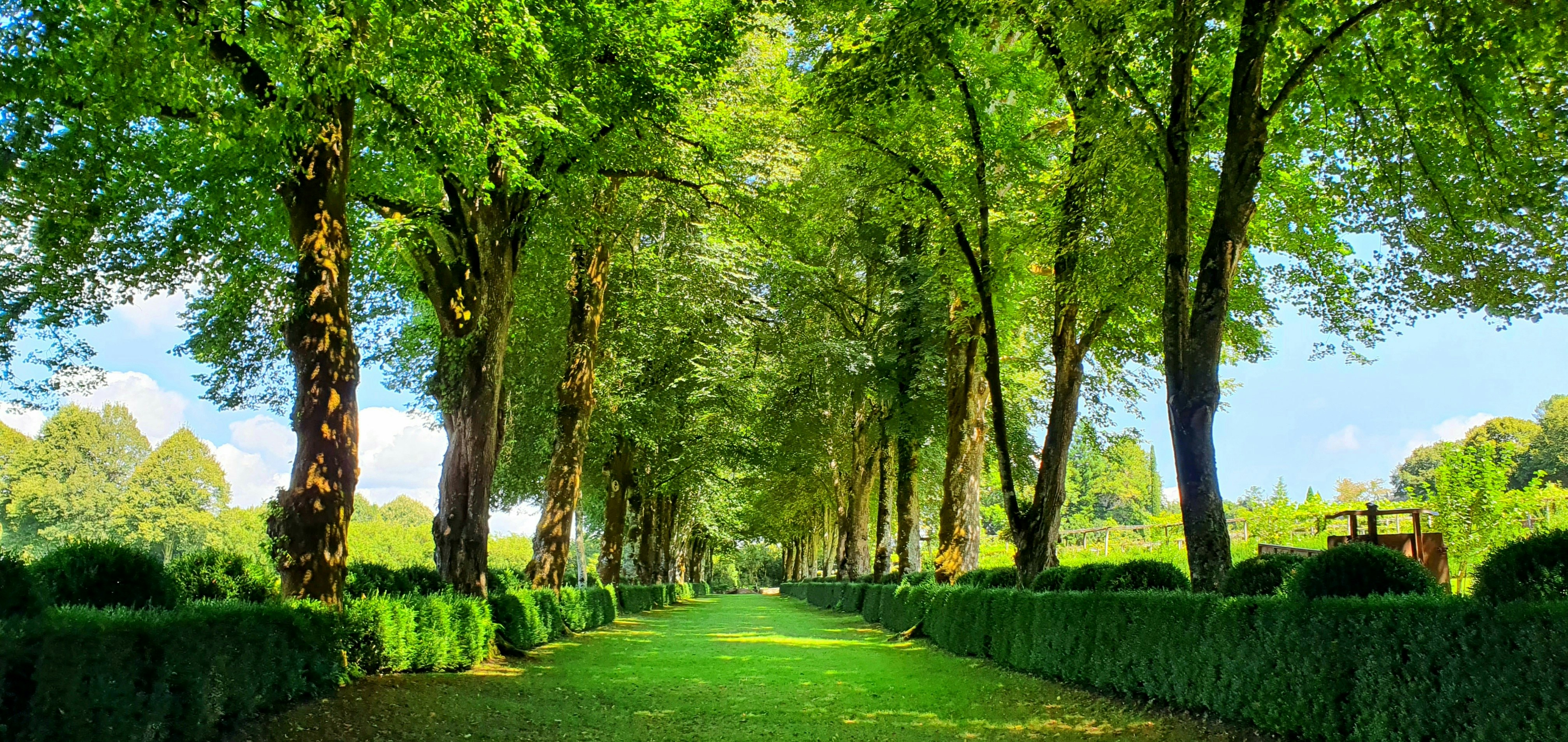 A lovely idyllic walk through trees in the summer in the castle Pazo de Oca in Galicia, Spain