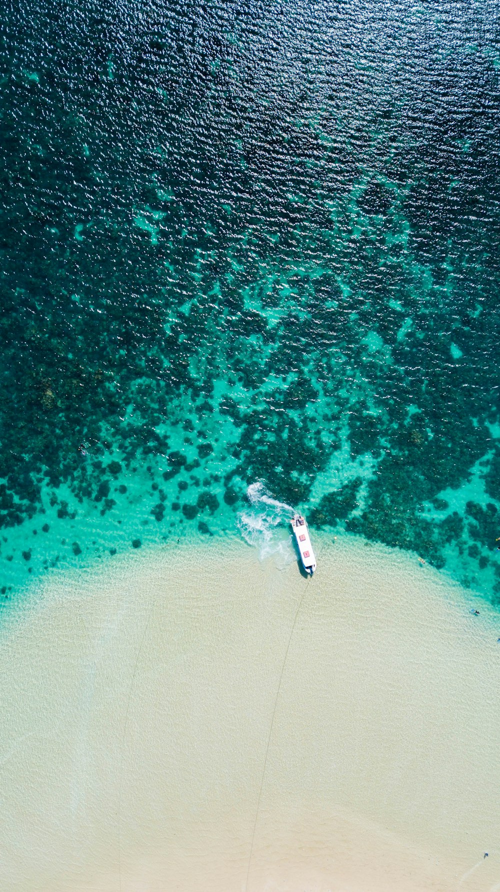 昼間の海上の白いボートの空中写真