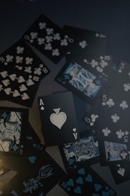 blue and white floral textile