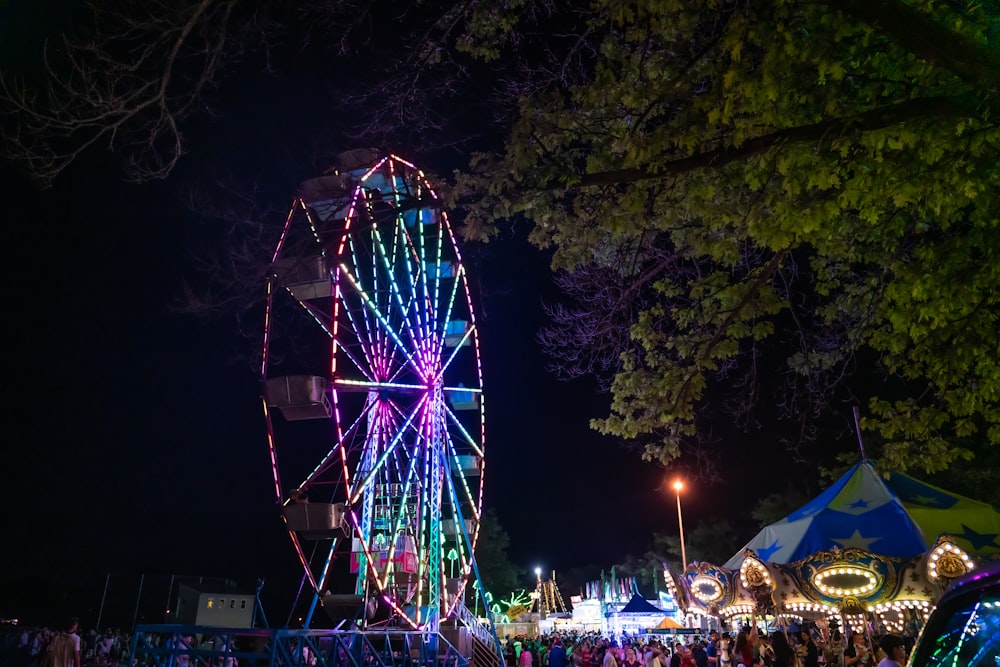 people walking on park with lighted ferris wheel during night time