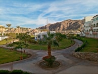 A scenic landscape featuring lush green lawns, palm trees, and a winding pathway set against a backdrop of rugged mountains. In the foreground, a tall palm tree stands centrally, with well-maintained gardens surrounding it. A series of modern white buildings with arched balconies line the right side, while the mountains in the distance are bathed in soft light.