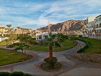 A scenic landscape featuring lush green lawns, palm trees, and a winding pathway set against a backdrop of rugged mountains. In the foreground, a tall palm tree stands centrally, with well-maintained gardens surrounding it. A series of modern white buildings with arched balconies line the right side, while the mountains in the distance are bathed in soft light.
