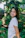 A candid photo of Ella Green smiling in her lush vegetable garden during golden hour.