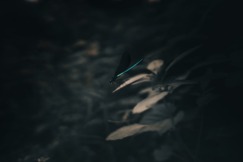 Mystique