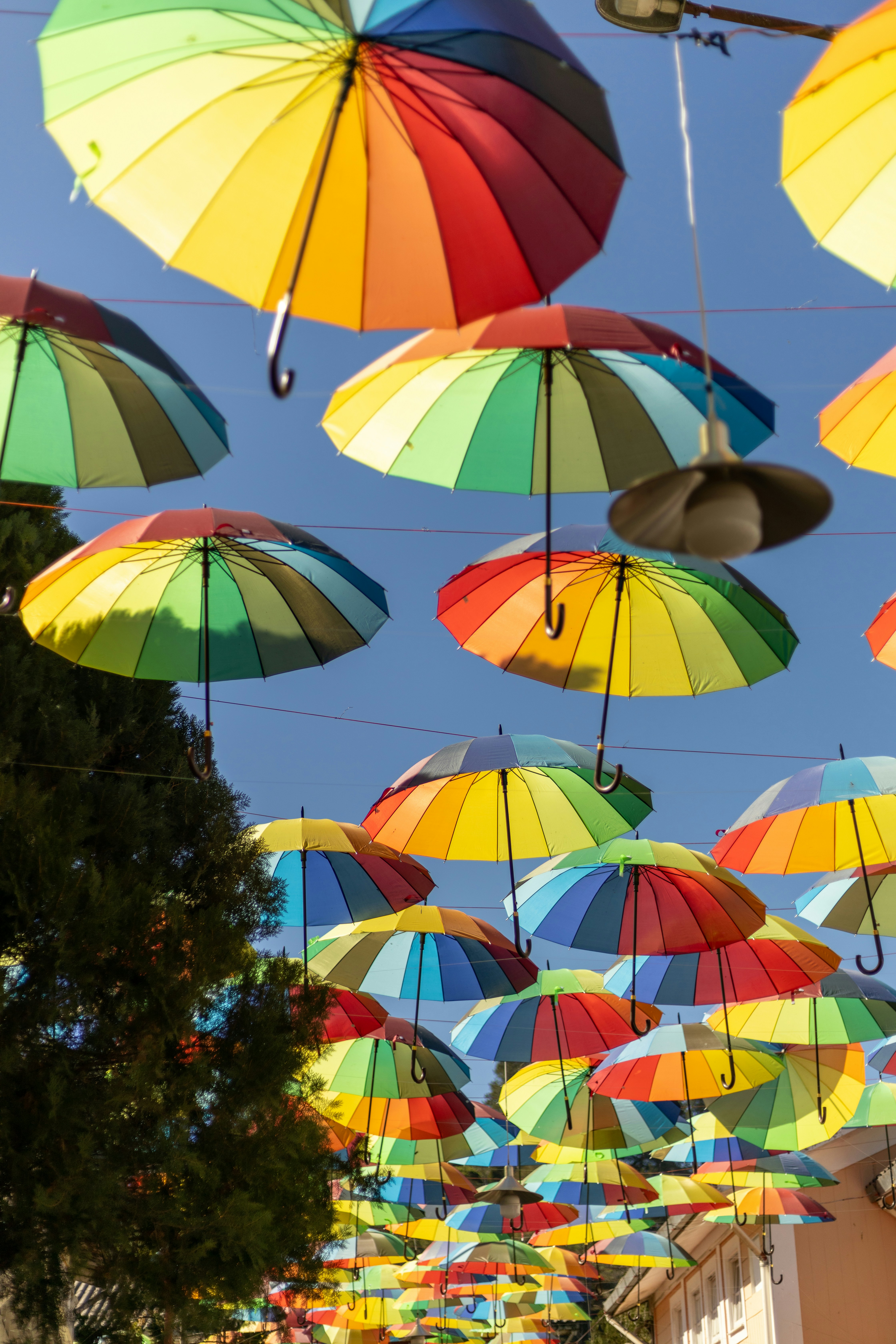 Photo by ferreiramarcos___