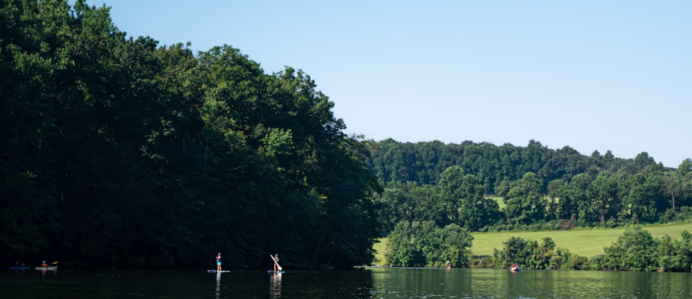 people on lake near green trees during daytime