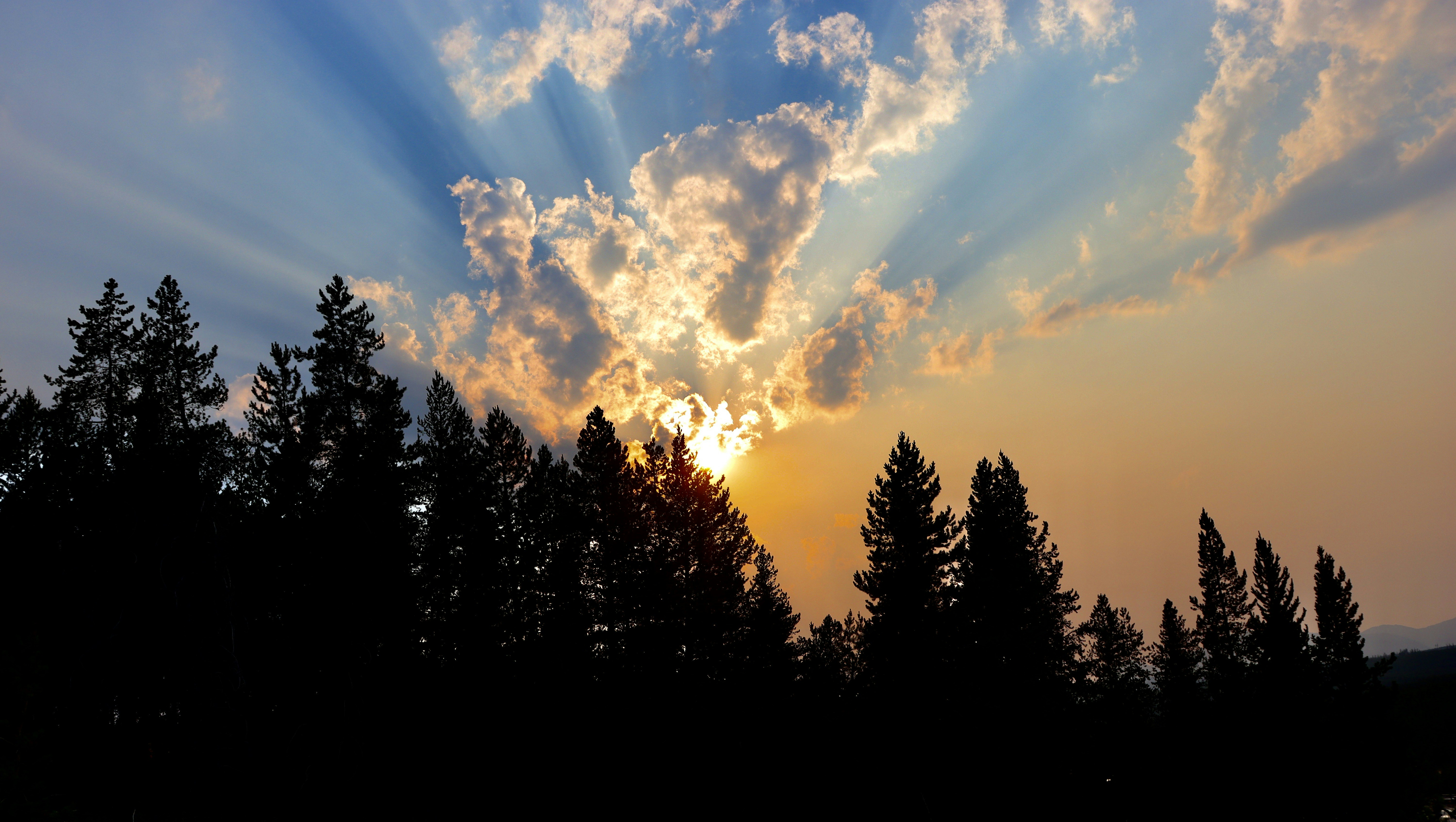 Photo by _bad_llama_