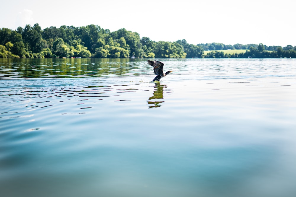 person in black jacket and black pants standing on body of water during daytime