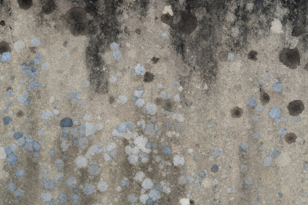 Hidden Dangers in Ceiling Tiles: Asbestos, Lead, and Mould