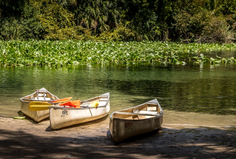 Canoë sur une rivière calme