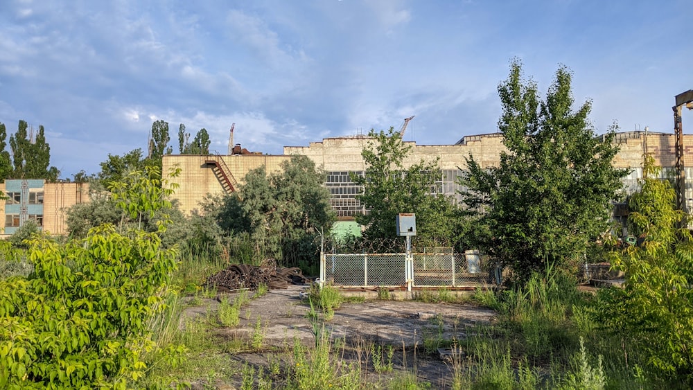 green plants near brown concrete building during daytime