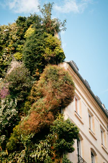 À Nîmes, votre bien immobilier vaut-il plus cher à l’ombre ?