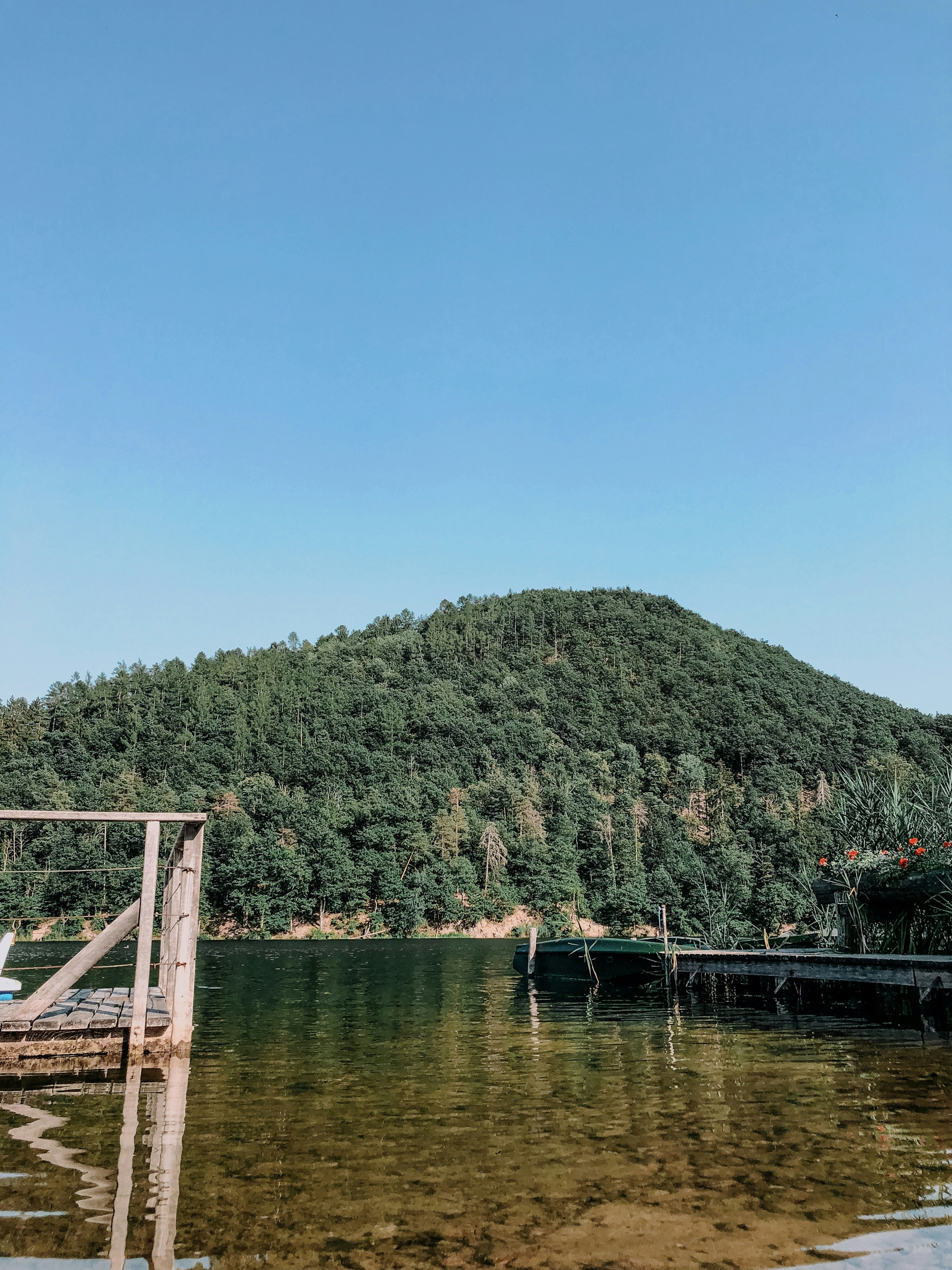 ponte di legno marrone sul fiume durante il giorno