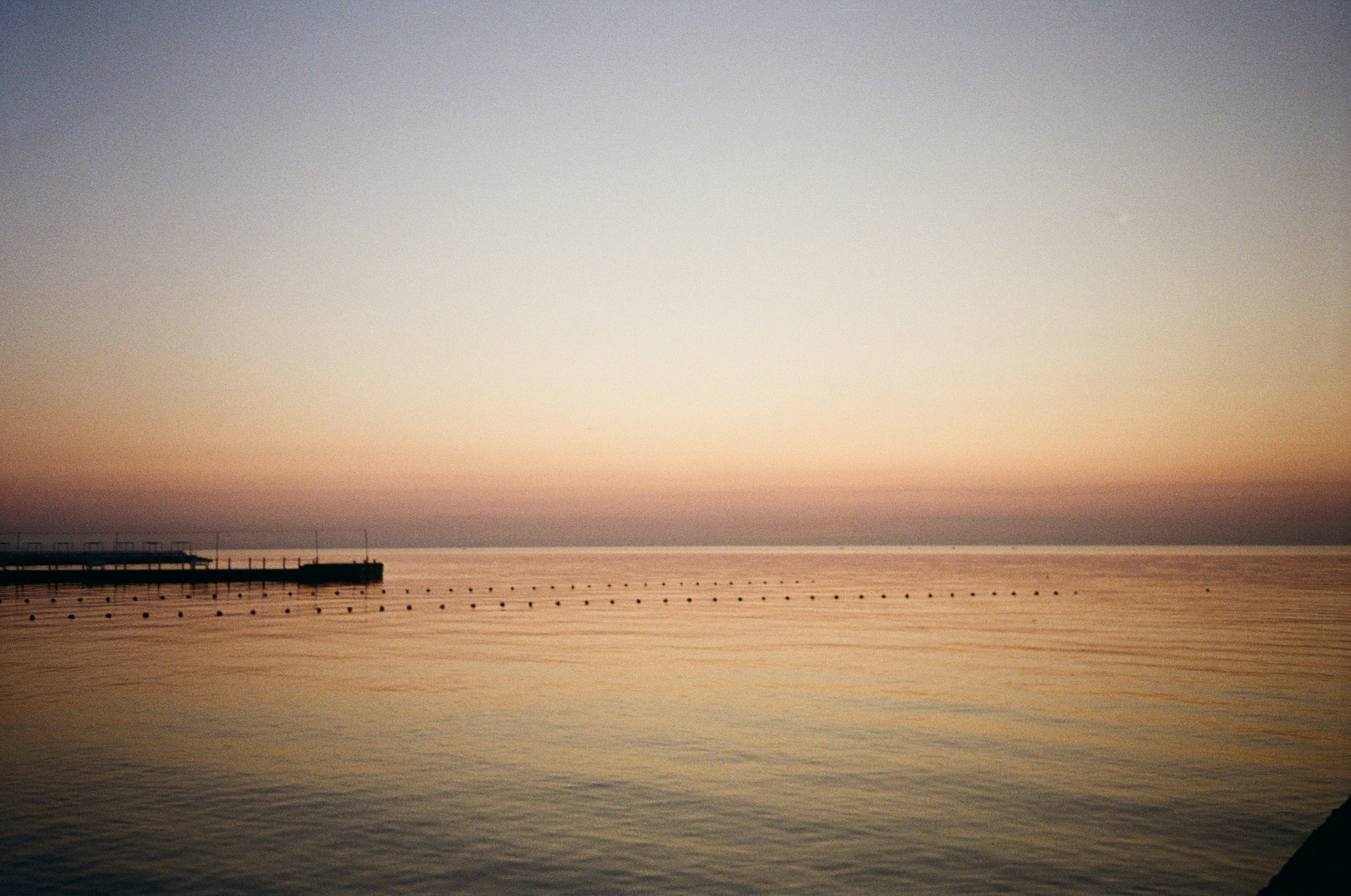 Photo by zhashkevych