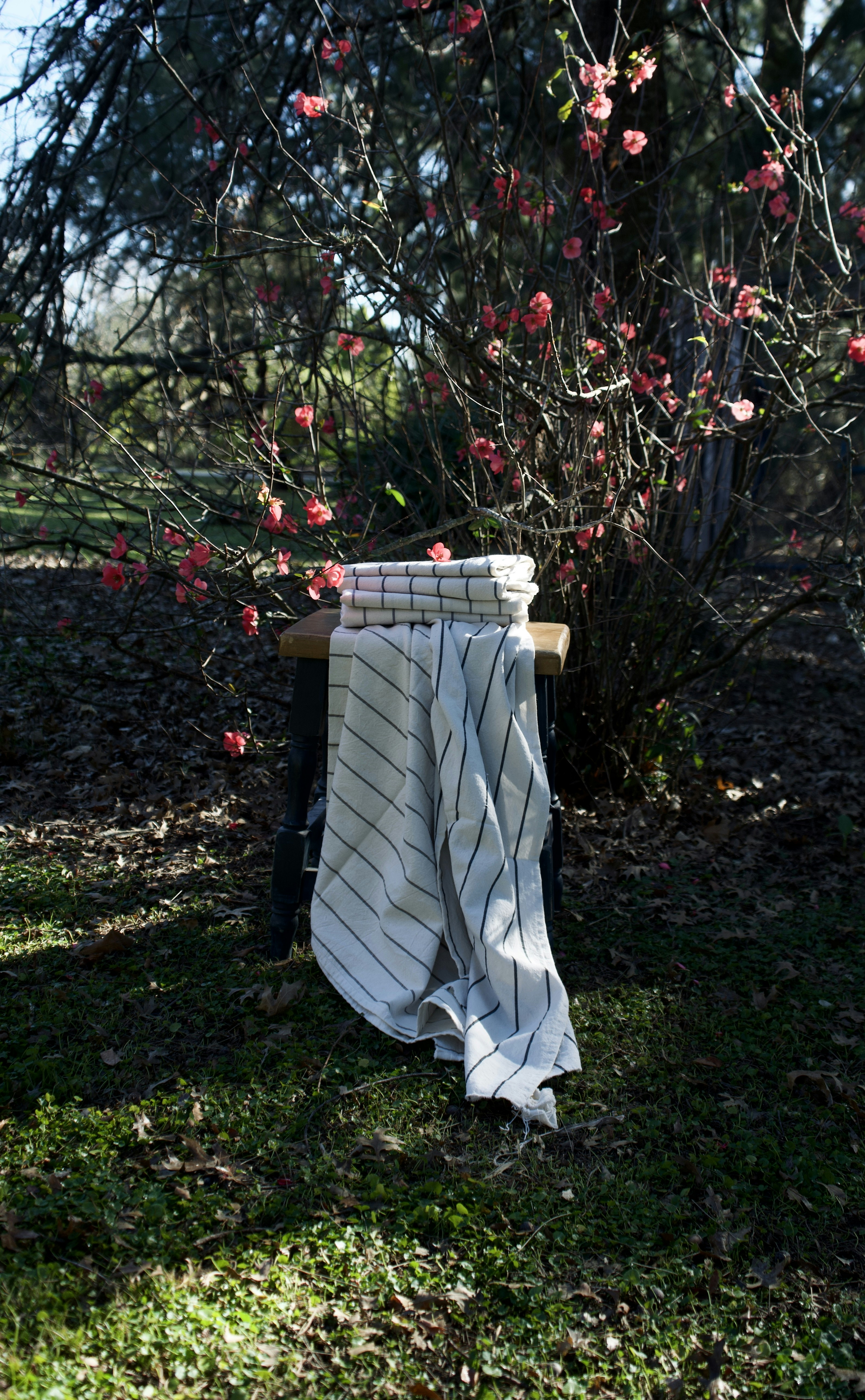 white and brown wooden table on green grass field