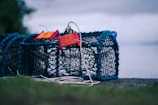 A close-up of a well-designed trap ready for use.