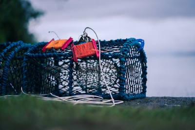 A close-up of fishing traps made of blue netting and wire, with fluorescent orange and red markings. They are placed on a concrete surface with a blurred natural background, suggesting proximity to water.