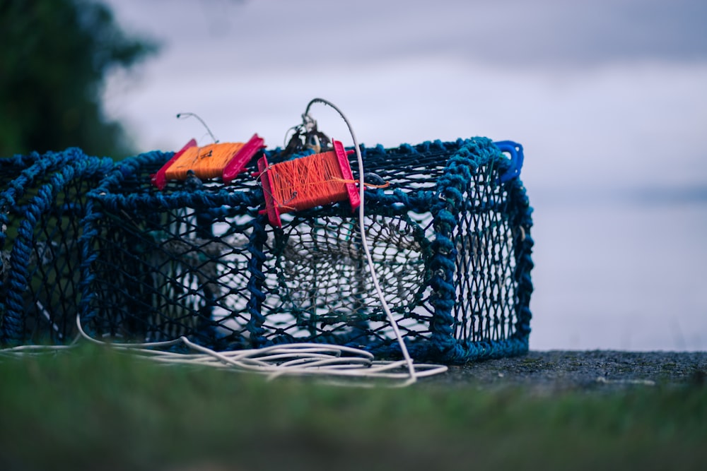 blue and red net on green grass field