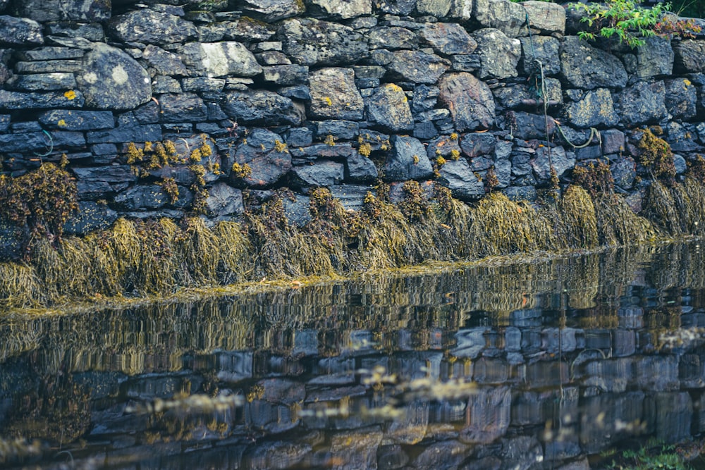 gray stone wall with water