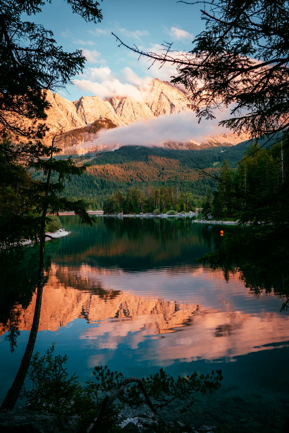 green trees near lake during daytime