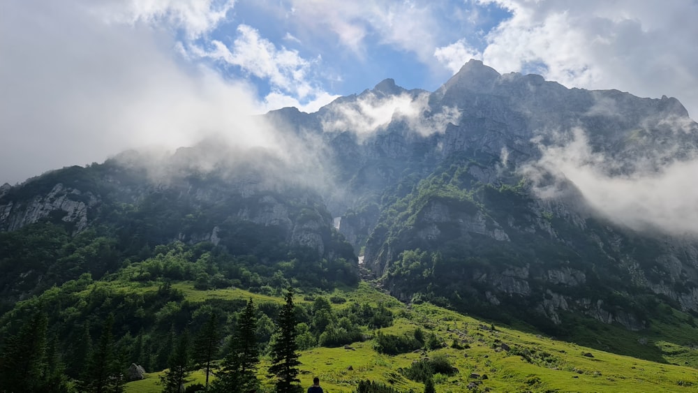 green trees on mountain under white clouds during daytime