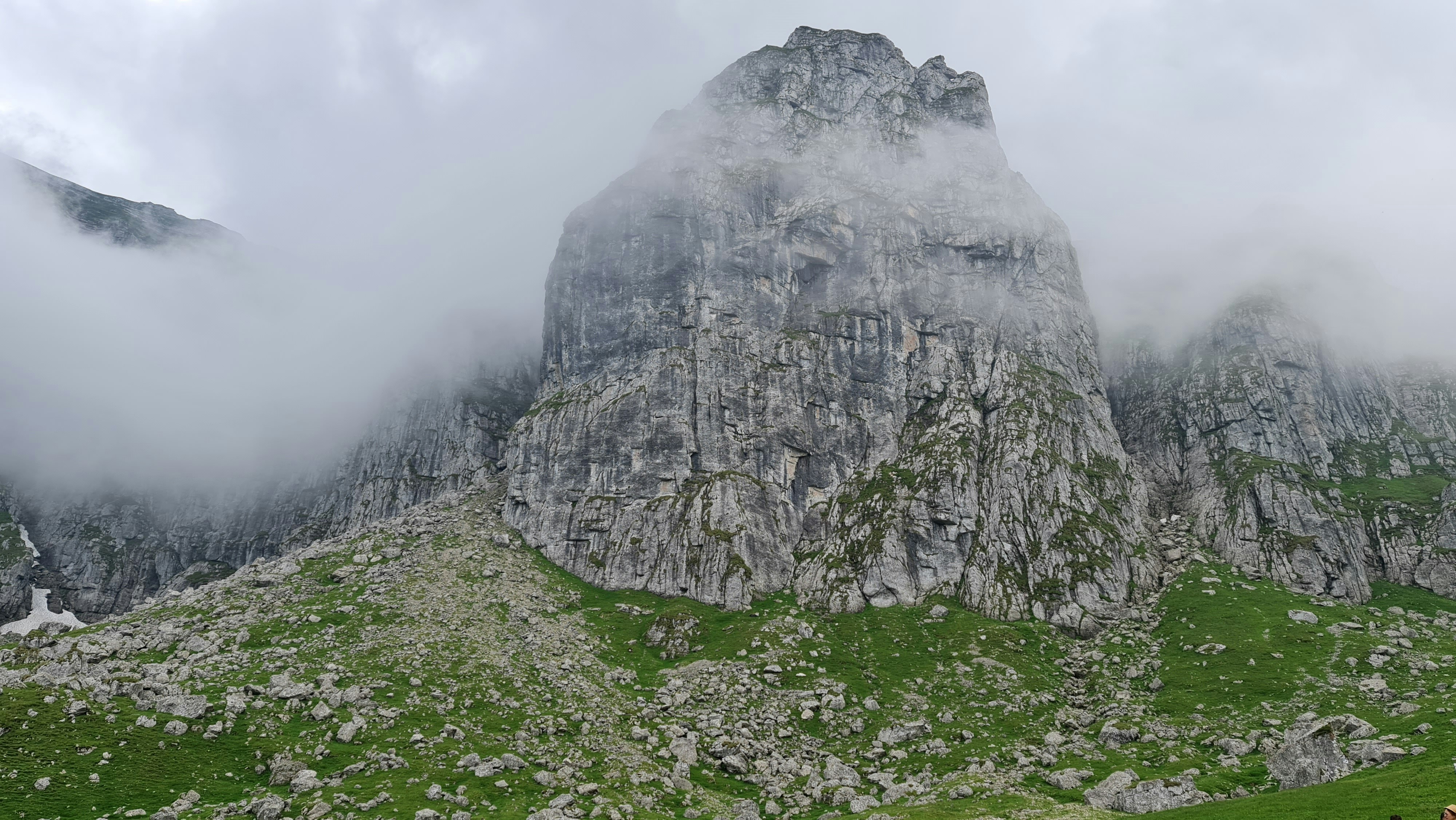 Photo by david_iordan