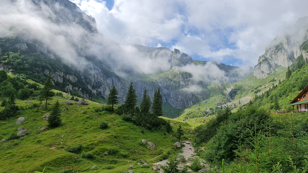 green trees on green grass field under white clouds and blue sky during daytime