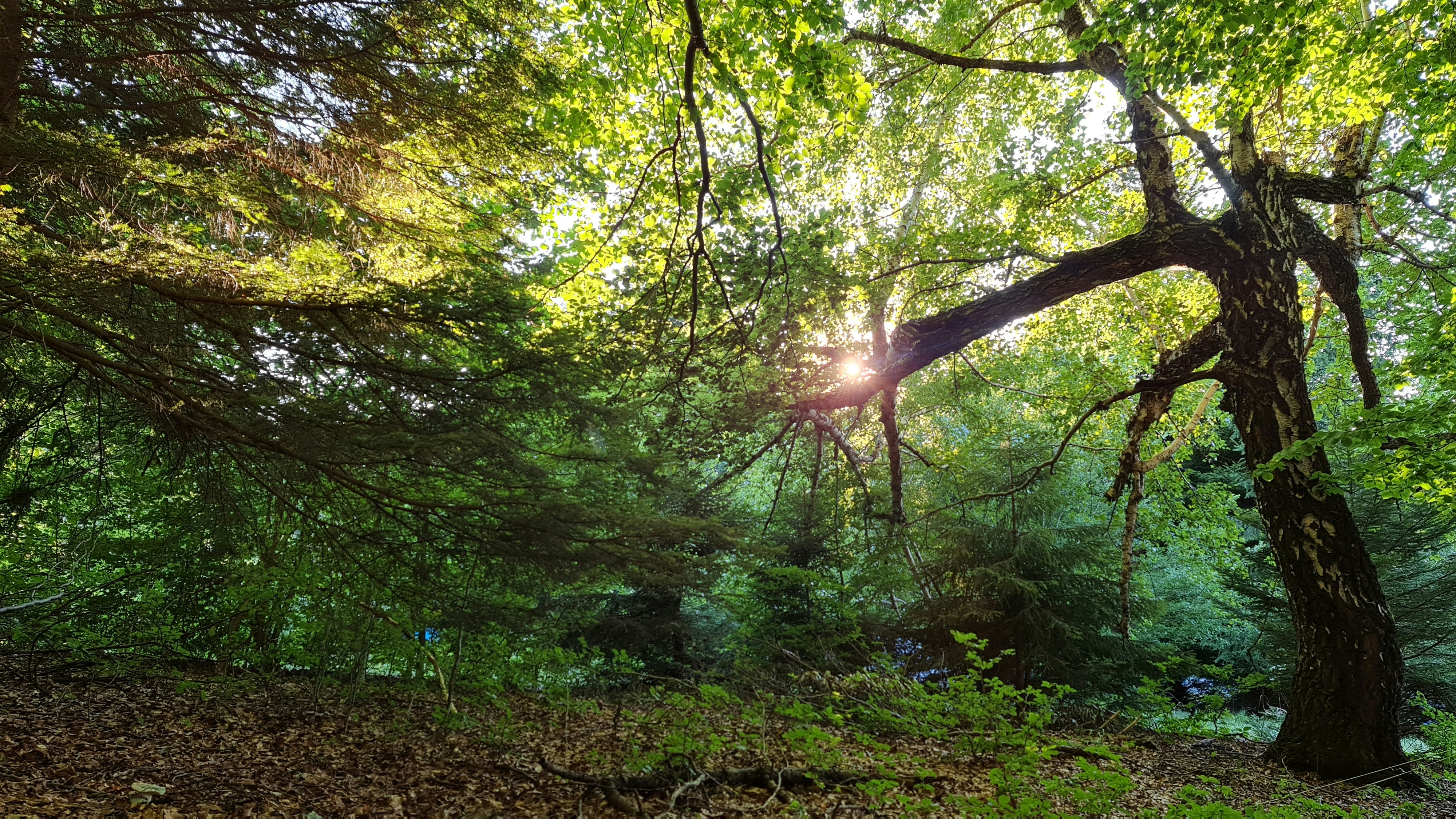 Photo by david_iordan