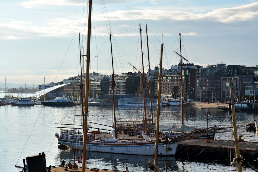 white and brown boat on water near city buildings during daytime