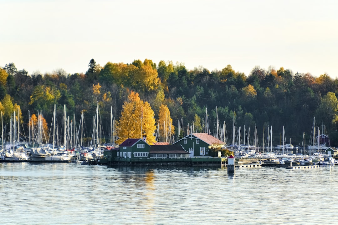 green and brown house near body of water during daytime