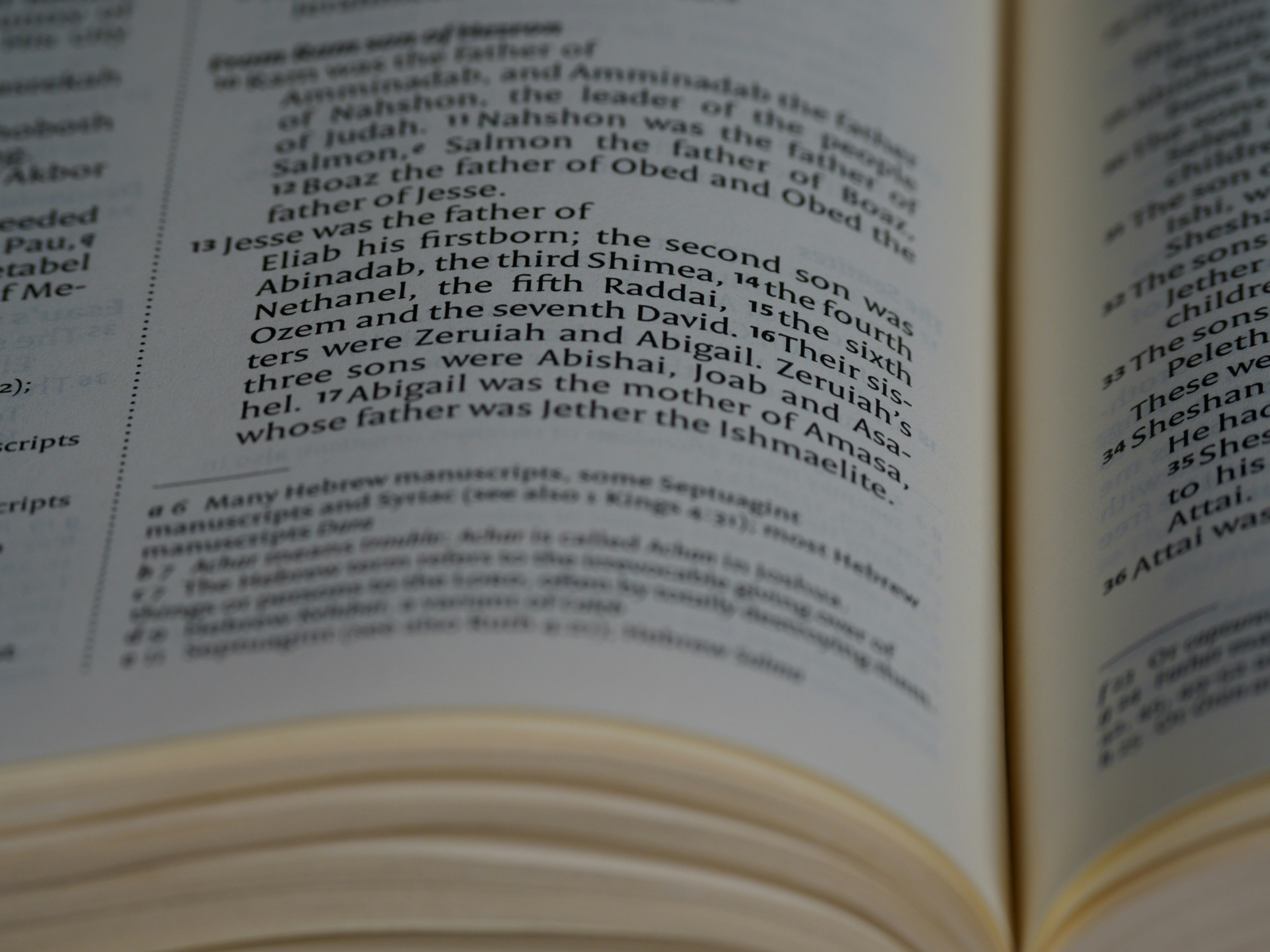 Photo by brett_jordan