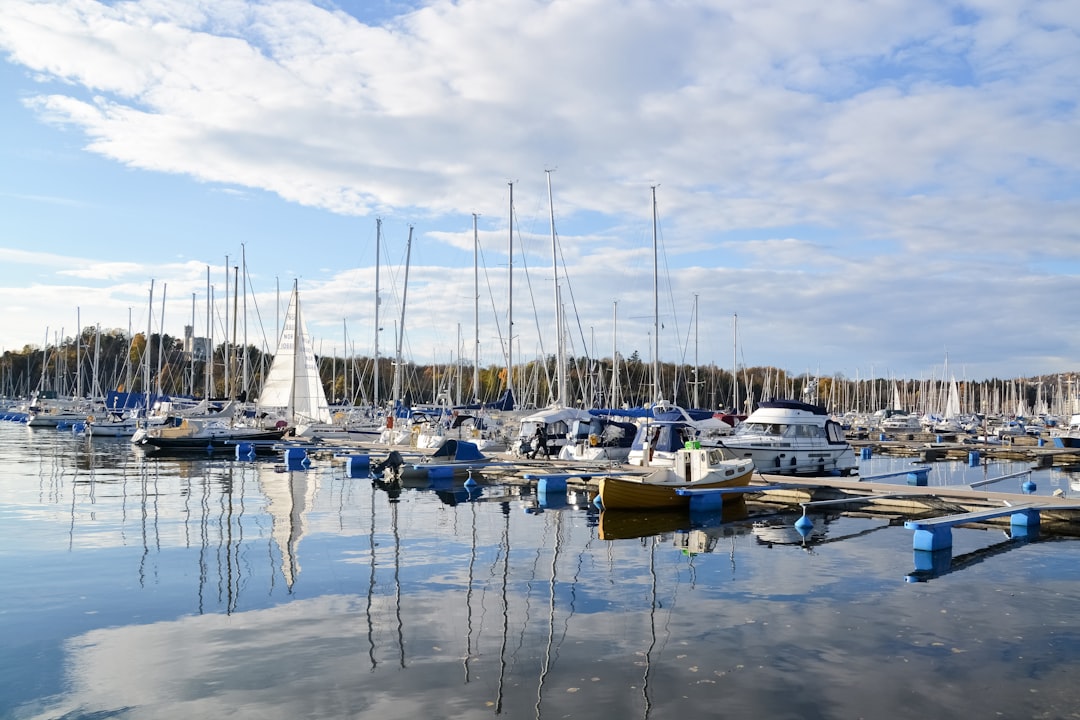 white and blue boats on dock during daytime