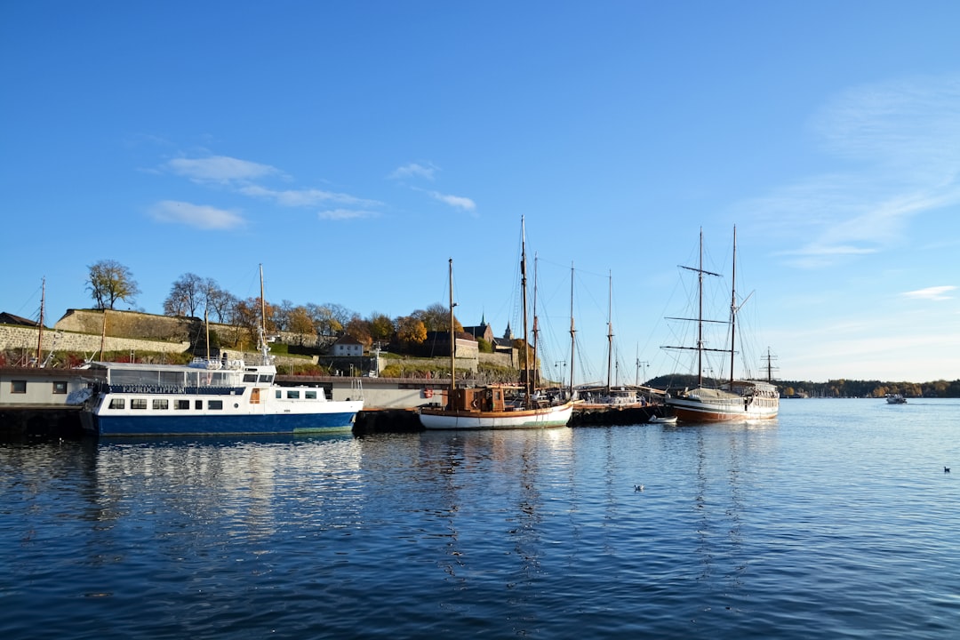 white and brown boat on sea under blue sky during daytime