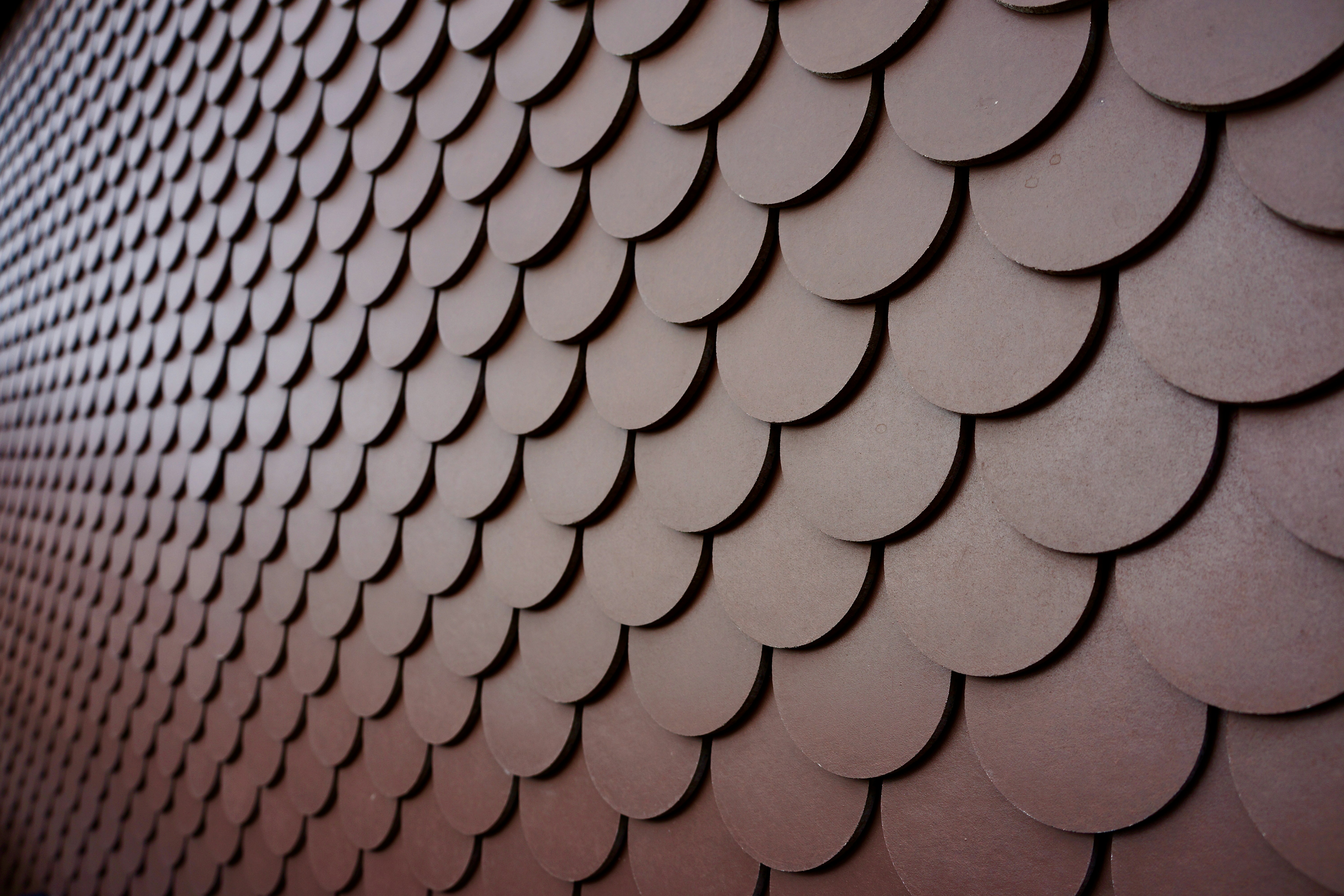 Photo by peterburdon