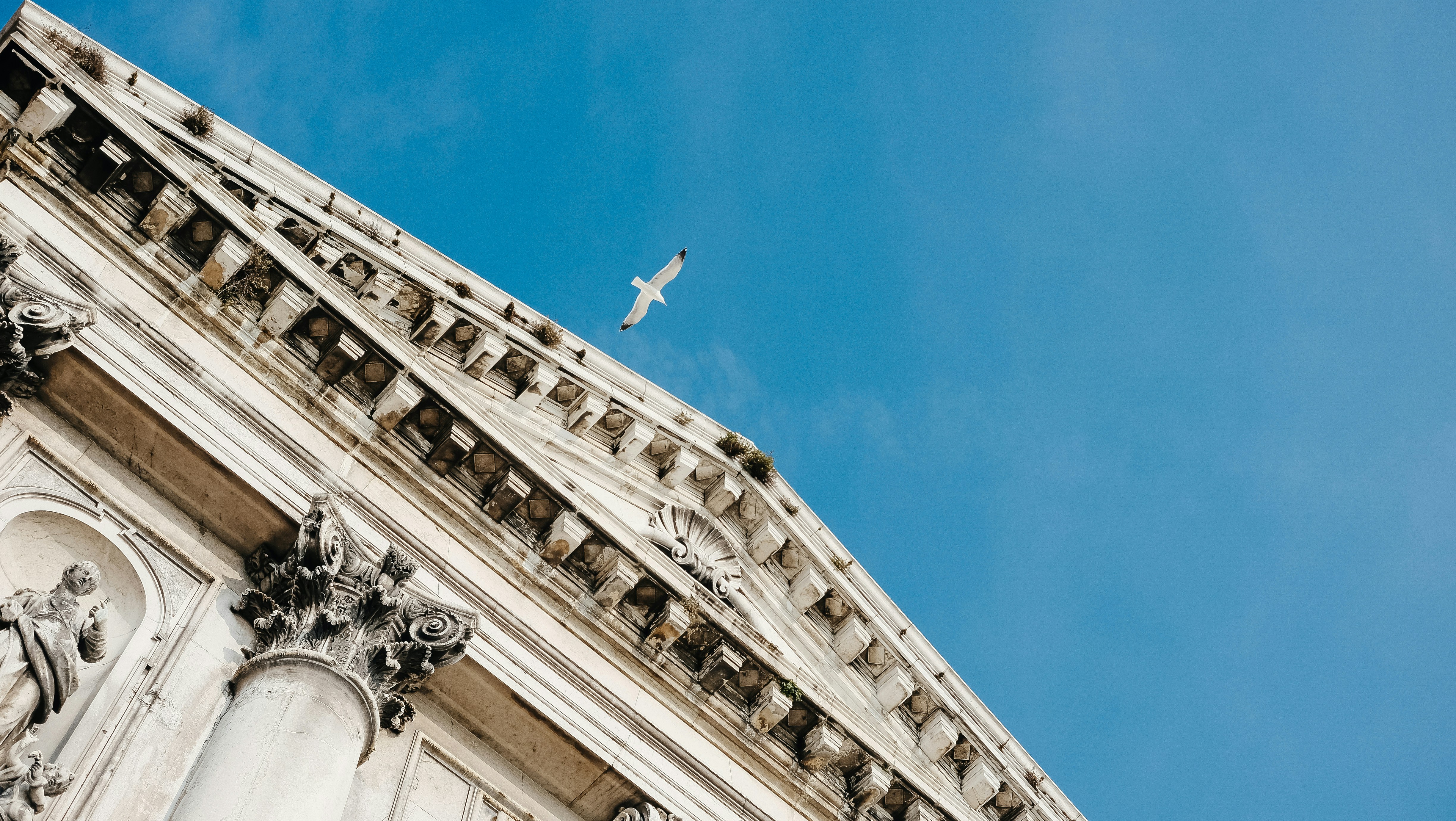 Photo by eva_gorobets_