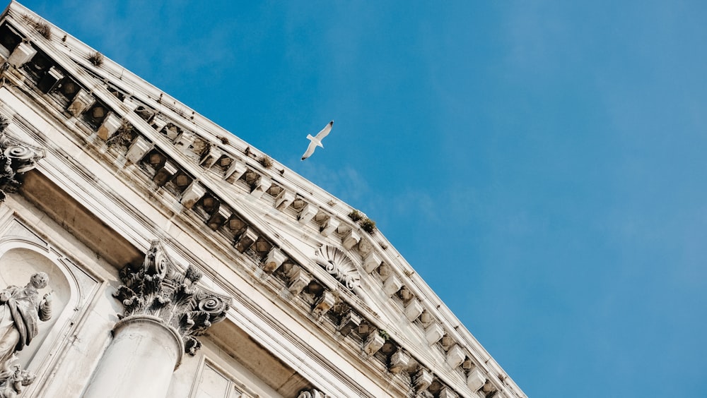 white concrete building under blue sky during daytime