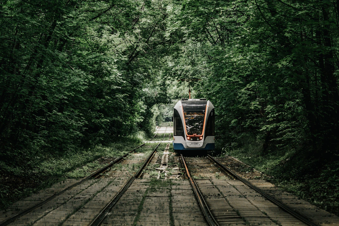 29-Day Southern Asia Rail Itinerary: April Family Guide