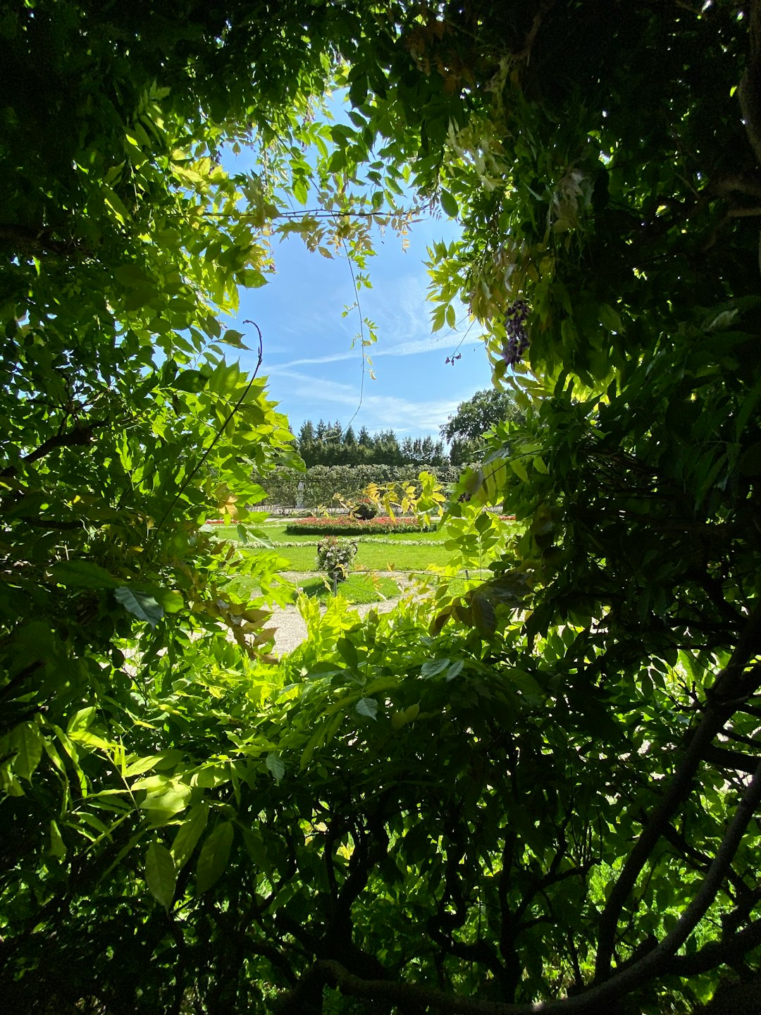 Natural landscape photo spot Schönbrunn Wien