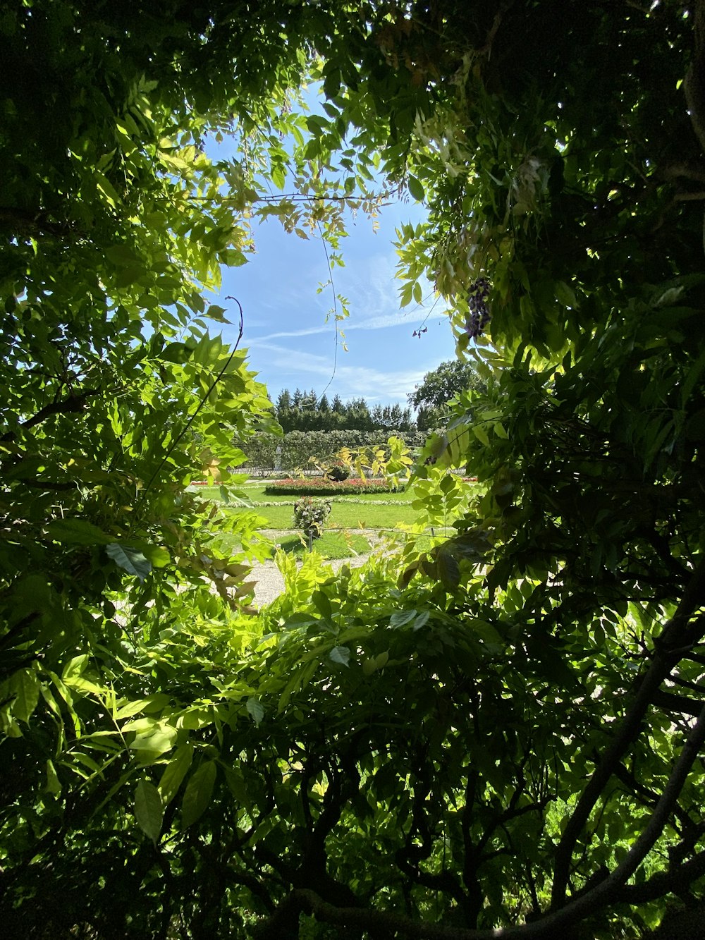 green trees under blue sky during daytime