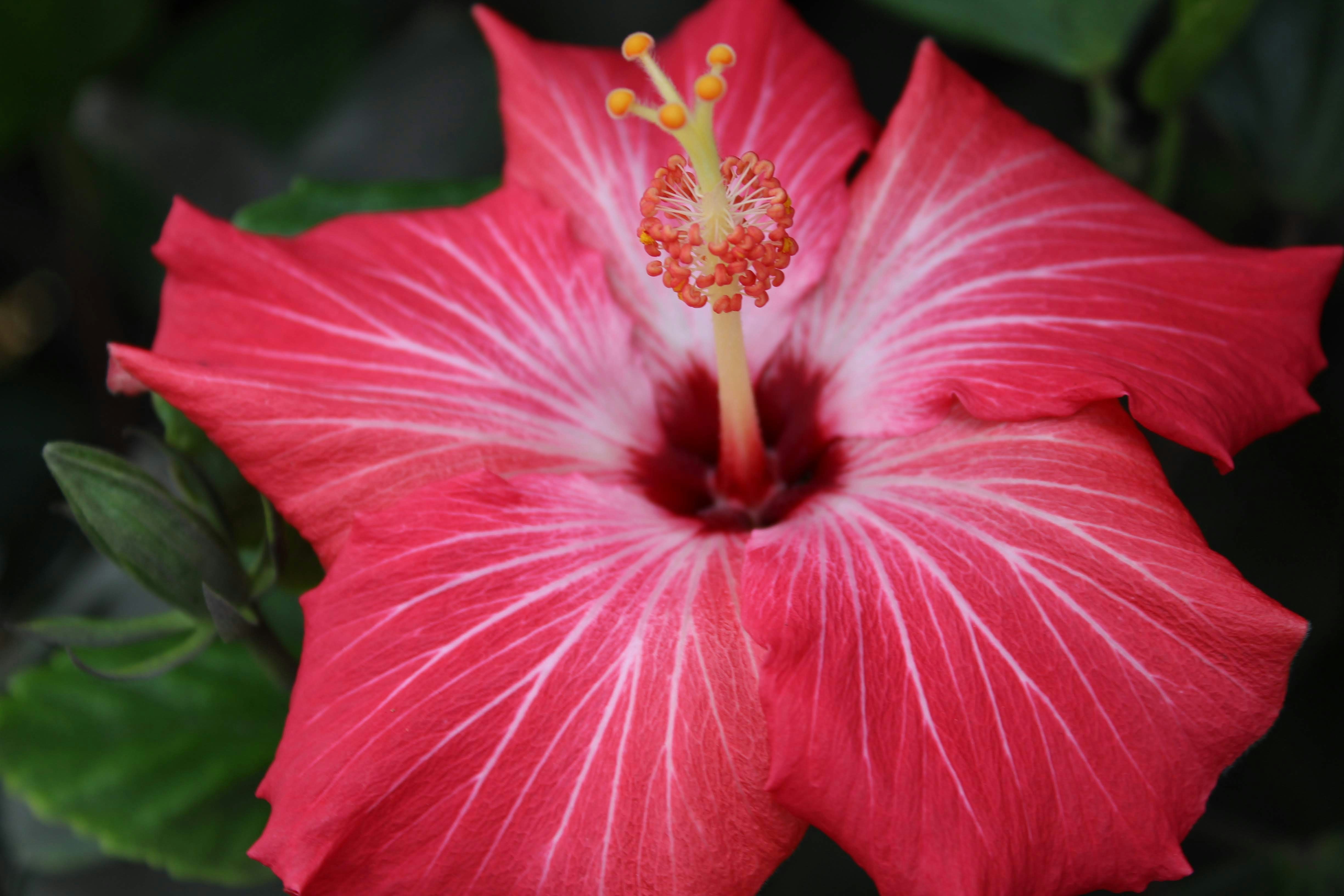 Photo by andrewtouzet