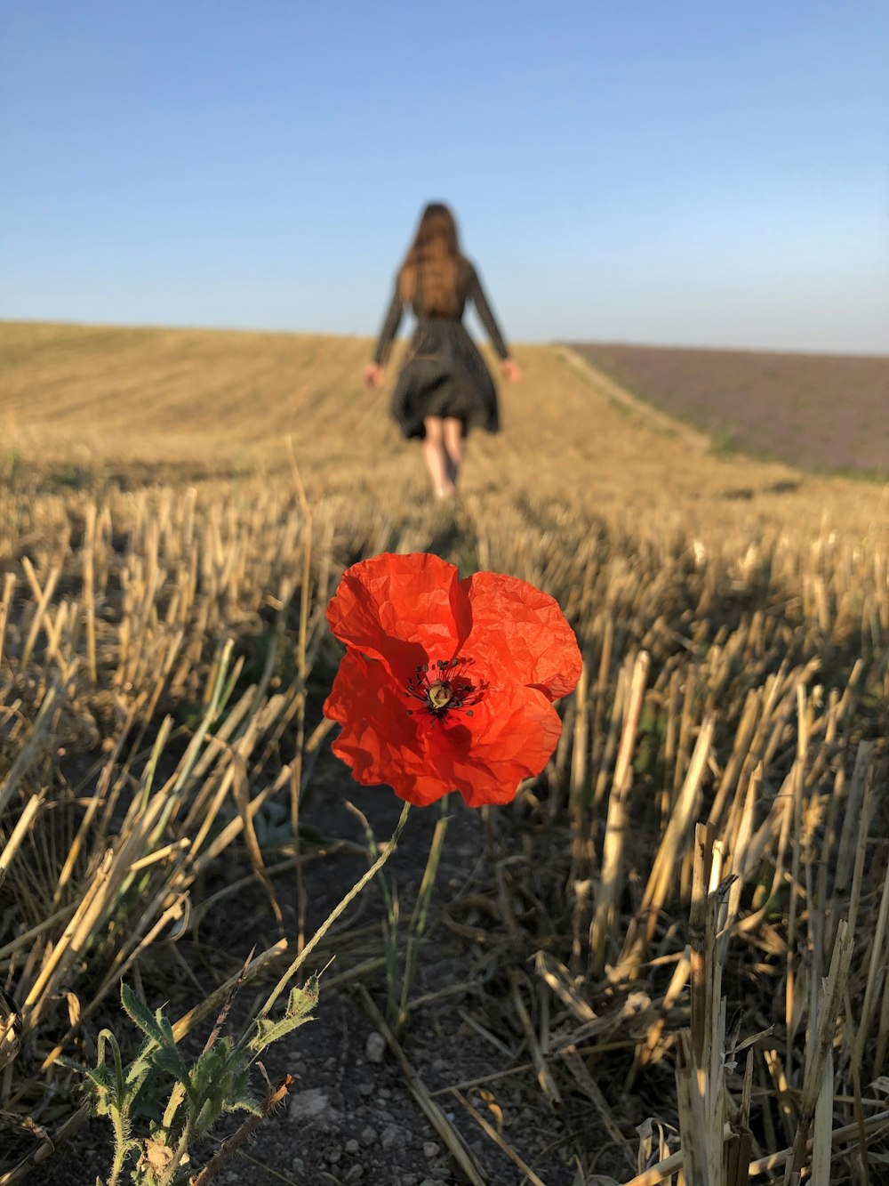 woman in black jacket standing on brown grass field